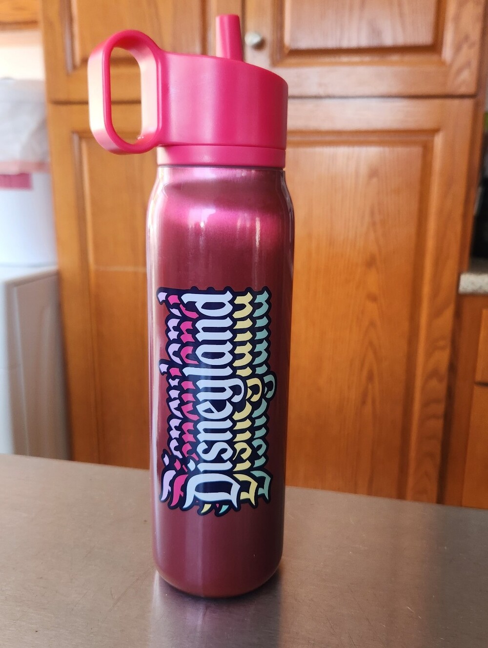 Disneyland X Starbucks Stainless Steel Sipper Water Bottle Bnwt